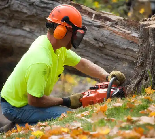 tree services Cedar Grove